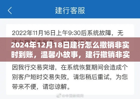 建行撤销非实时到账的奇妙经历,温馨小故事分享