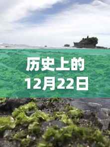 历史上的汇率揭秘,与自然美景的邂逅之旅在12月22日