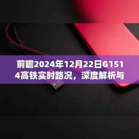 深度解析与观点碰撞,2024年12月22日G1514高铁实时路况前瞻