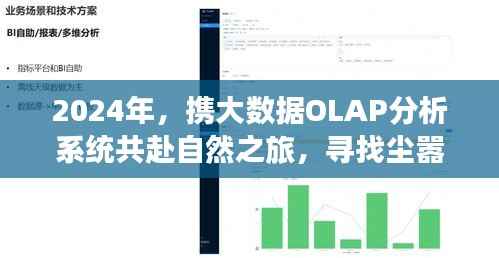 大数据OLAP分析系统助力探寻自然之美,宁静之地的探索之旅