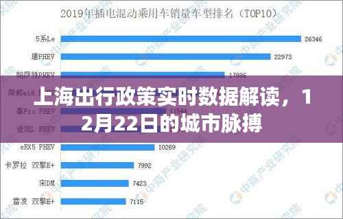 上海出行政策实时解读,城市脉搏在行动(12月22日)