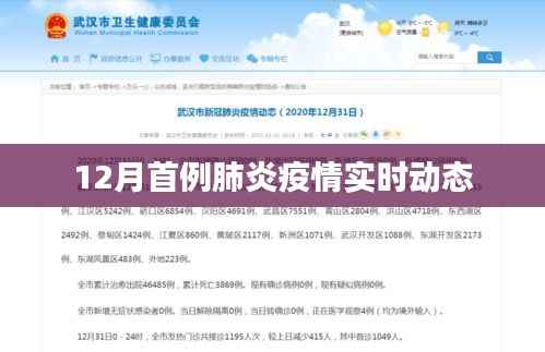 媒体报道 第261页