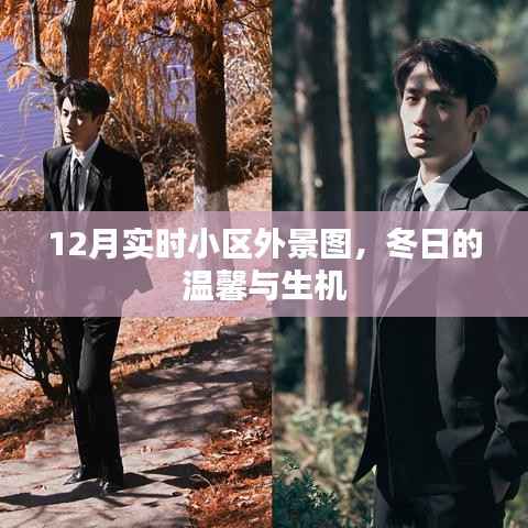 冬月小区美景实拍,温馨与生机并存的外景图