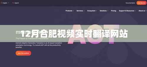 合肥视频实时翻译平台上线