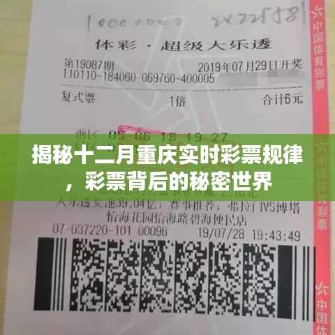揭秘重庆彩票背后的秘密世界，十二月实时彩票规律解析
