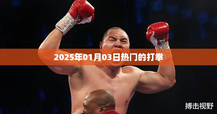 2025年热门拳赛盛宴,打拳盛宴即将开启