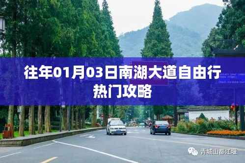 百鸟归巢 第3页