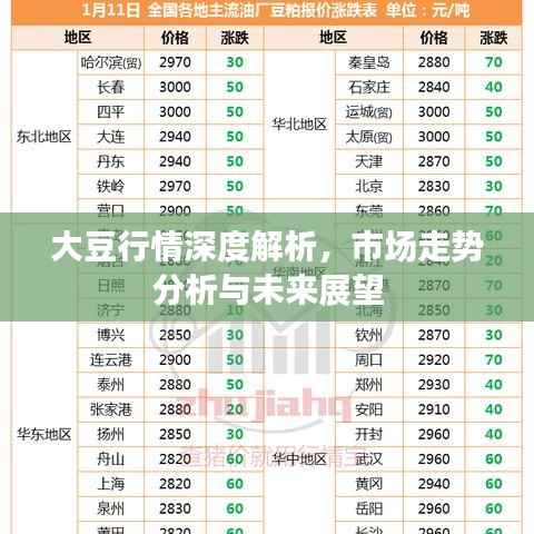 大豆行情深度解析,市场走势分析与未来展望