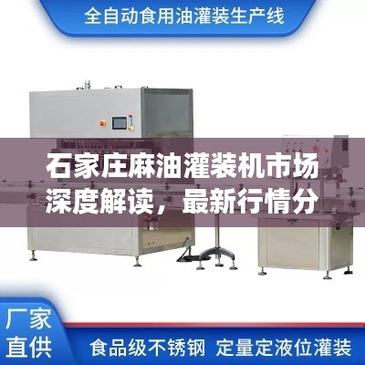 石家庄麻油灌装机市场深度解读,最新行情分析与趋势预测