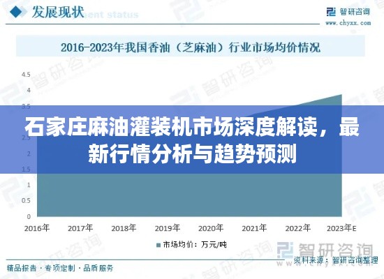 石家庄麻油灌装机市场深度解读,最新行情分析与趋势预测