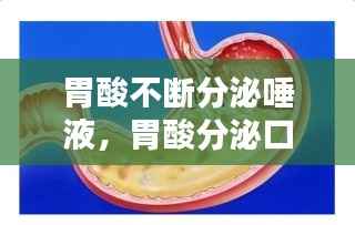 胃酸不断分泌唾液，胃酸分泌口水多 