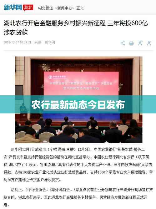 农行最新动态今日发布
