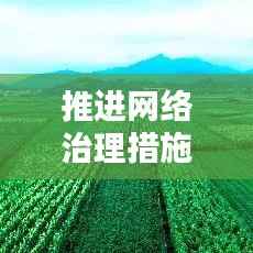 推进网络治理措施落实，网络治理建议 