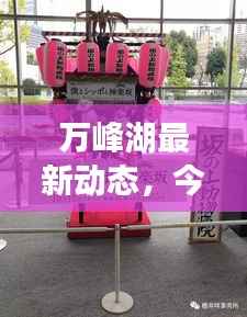 万峰湖最新动态,今日消息一网打尽