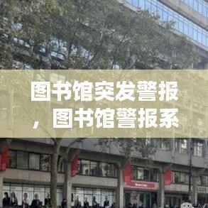 劳燕分飞 第3页