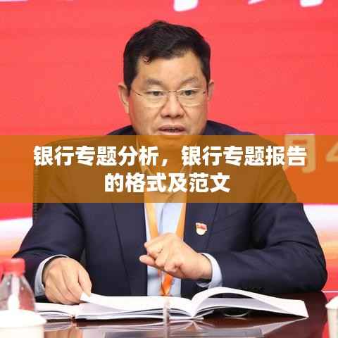 银行专题分析,银行专题报告的格式及范文