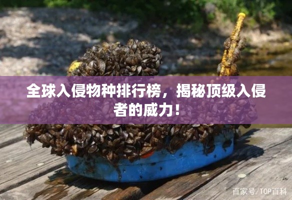 全球入侵物种排行榜,揭秘顶级入侵者的威力!