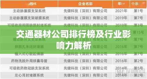 交通器材公司排行榜及行业影响力解析