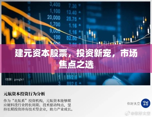 建元资本股票,投资新宠,市场焦点之选