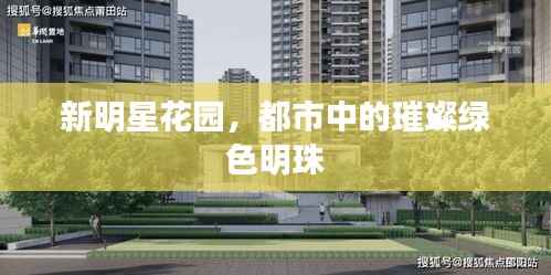 新明星花园,都市中的璀璨绿色明珠