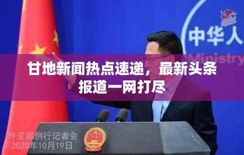 甘地新闻热点速递,最新头条报道一网打尽