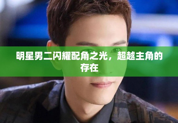 一花独放 第2页