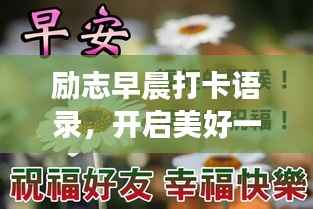 漫天飞舞 第2页