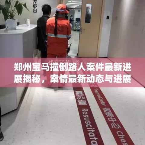 郑州宝马撞倒路人案件最新进展揭秘,案情最新动态与进展报告