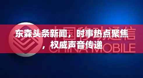 东森头条新闻,时事热点聚焦,权威声音传递