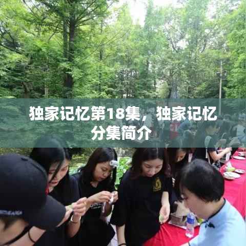 独家记忆第18集，独家记忆分集简介 