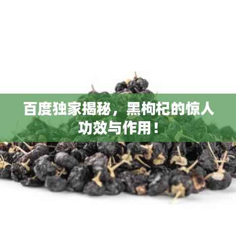 百度独家揭秘,黑枸杞的惊人功效与作用!
