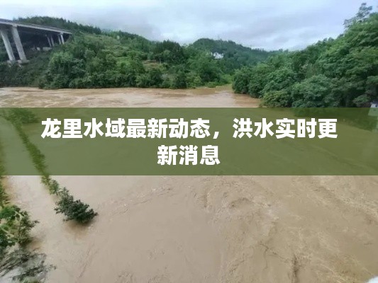 龙里水域最新动态,洪水实时更新消息