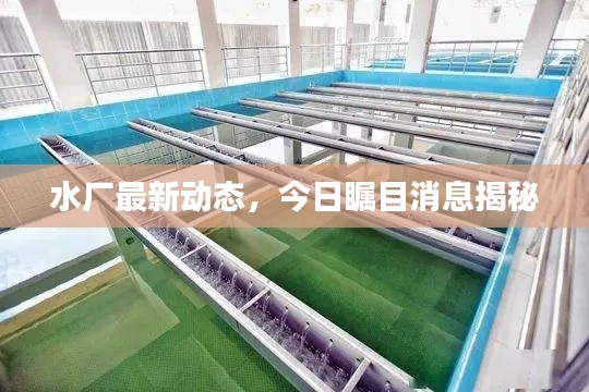 慷慨就义 第2页