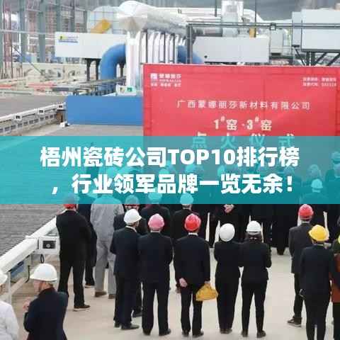 梧州瓷砖公司TOP10排行榜,行业领军品牌一览无余!