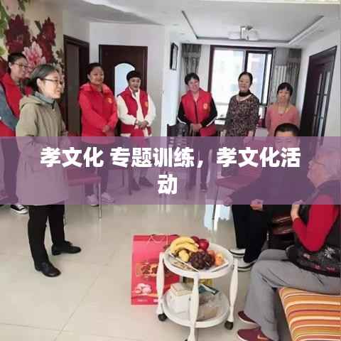 孝文化 专题训练，孝文化活动 