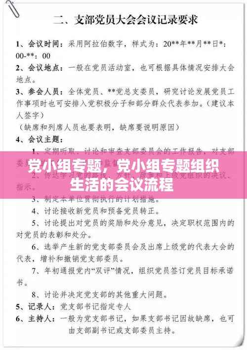 党小组专题,党小组专题组织生活的会议流程