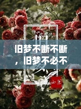 旧梦不断不断，旧梦不必不必 