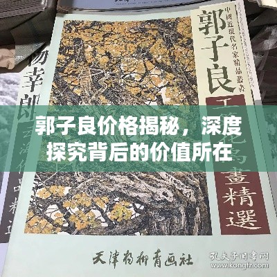 郭子良价格揭秘，深度探究背后的价值所在