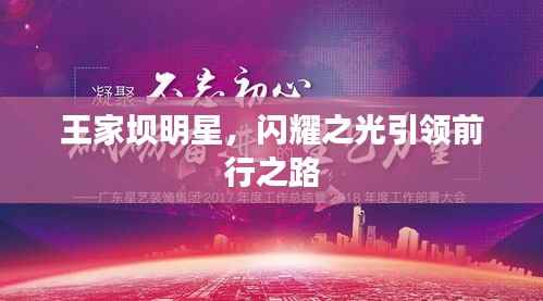 王家坝明星，闪耀之光引领前行之路