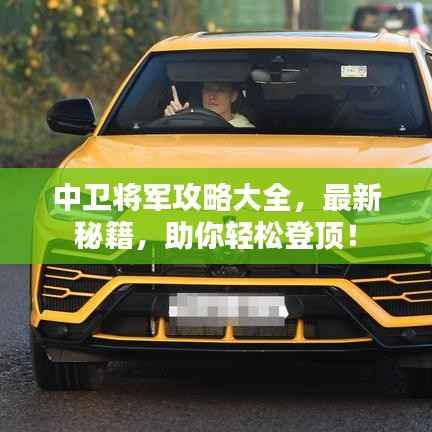 中卫将军攻略大全,最新秘籍,助你轻松登顶!