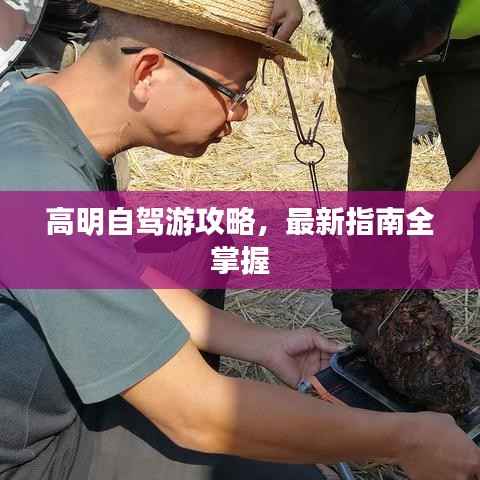 高明自驾游攻略,最新指南全掌握