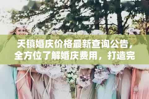 天镇婚庆价格最新查询公告,全方位了解婚庆费用,打造完美婚礼!