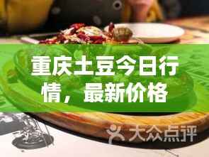 重庆土豆今日行情,最新价格动态一网打尽